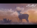MORTAL LONGING TRAILER (New Album August 17, 2018)