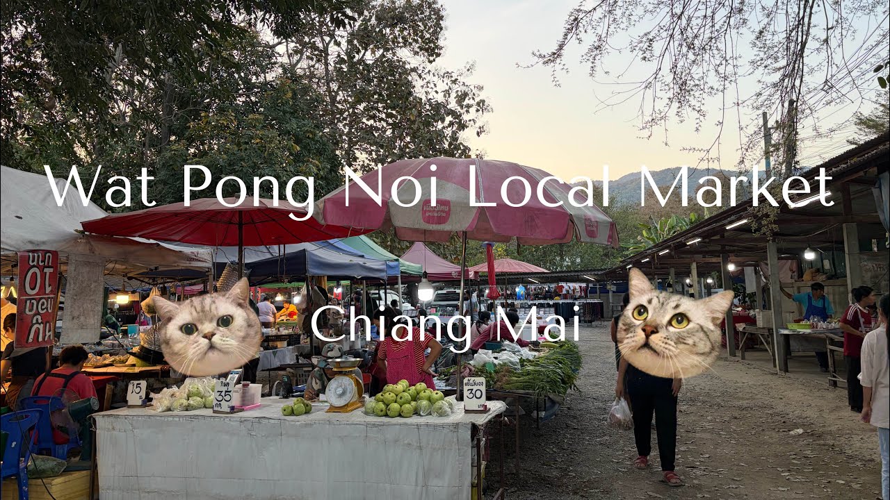 EP.5 Wat Pong Noi Market , local market in Chiang Mai 🥬🍅