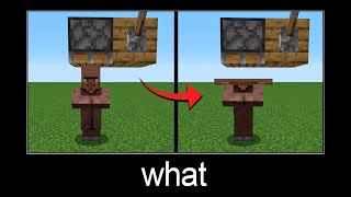 Minecraft wait what meme part 71 (crushed villager)