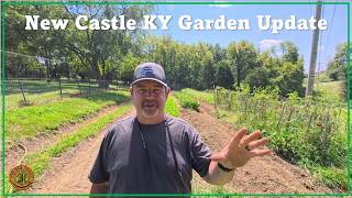 #386:   Zone 6 Garden Update - New Castle / Henry County / KY / 2026