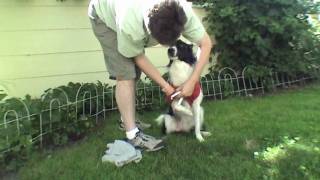 t shirt thundershirt diy