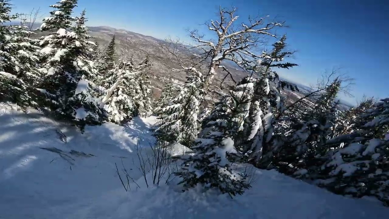 «Taking a Run — Paradise — Mad River Glen» (2023)