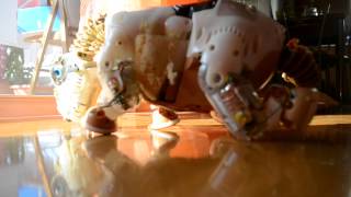 Pleo Problem Sloooow move