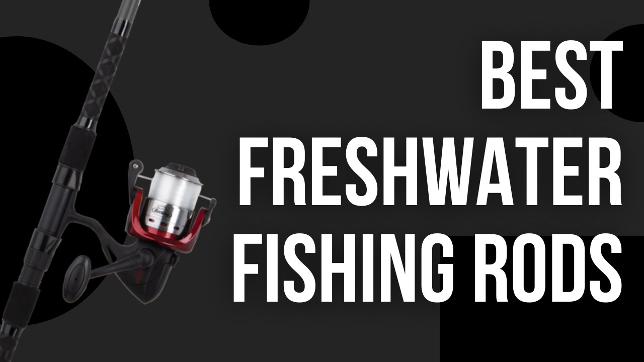 The BEST Freshwater Fishing Rods (in 2023) 