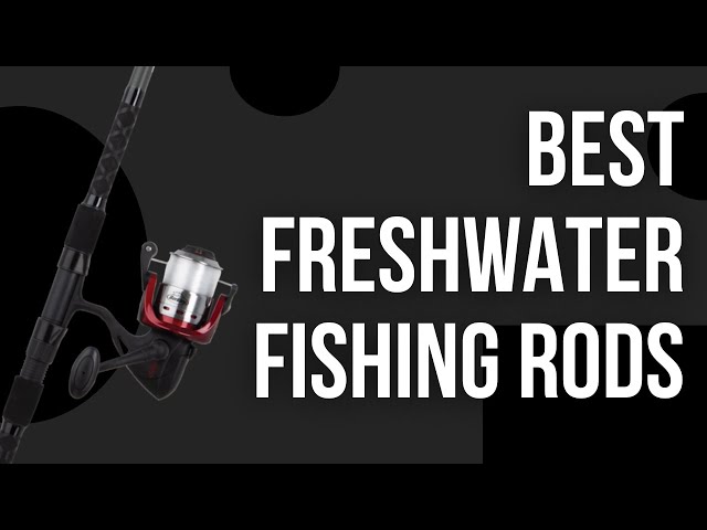 Should You Buy A 2 Piece Fishing Rod? 