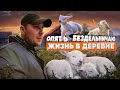 СМЕНИЛ РЕЗИНУ ! РУЧНЫЕ ОВЦЫ !  ОПЯТЬ БЕЗДЕЛЬНИЧАЮ ! [Жизнь в деревне]