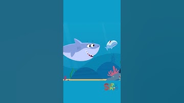 Happy Finny The Shark Week! #babyshark #finnythesharkweek #kidssongs