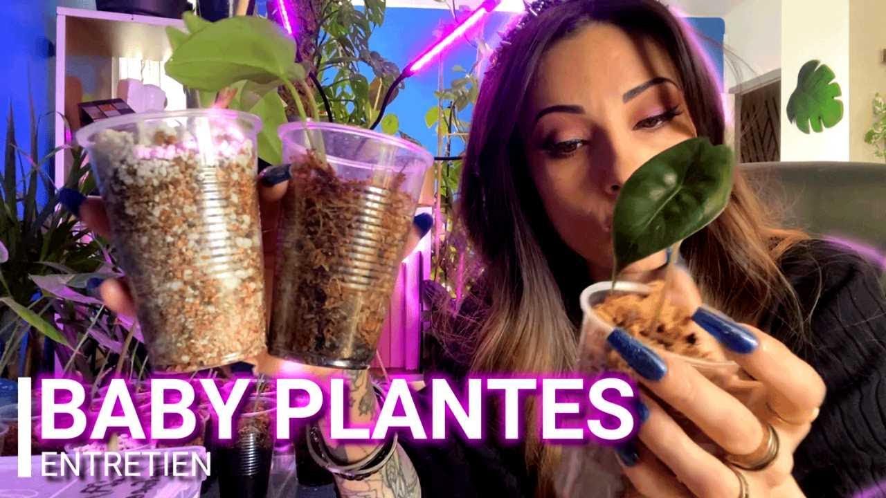 ДЕТСКИЕ РАСТЕНИЯ 🌿 КАК ИХ НЕ УБИТЬ?💀