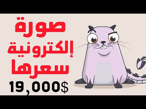 فيديو: في عالم المقتنيات تعني؟