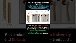 Digital Composites That Can Be Rewritten: Materials with Reprogrammable Phase Architectures