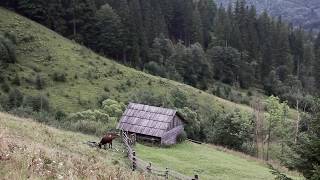 Гуцульський фольклор. Карпатські гори. Село Дземброня.