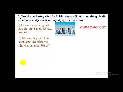 Môn tiếng việt lớp 2 - tuần 27, ôn tập (tiết 3+4)
