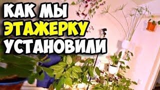 Как мы установили этажерку || Канал земляка Auto Buzya || Суп с фрикадельками || Компания собирается Как мы установили этажерку || Канал земляка Auto Buzya || Суп с фрикадельками || Компания собирается