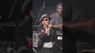 THE SELECTER  - TOO MUCH PRESSURE LIVE AT IT'S NOT DEAD FESTIVAL, 2017, SAN BERNARDINO, CALIFORNIA