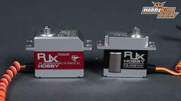 HobbyKing Daily - RJX Servo