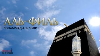 Мухаммад аль Мукит - Прекрасный Коран - Сура Аль-Филь | Surah Al Fil - Muhammad al Muqit