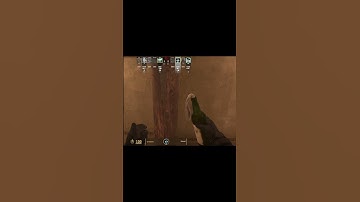 CS2 MİRAGE BEST TACTİC B SİDE