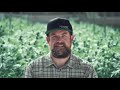 Eric Brandstad the Cannabis Greenhouse Expert - Homegrown Cannabis Co.