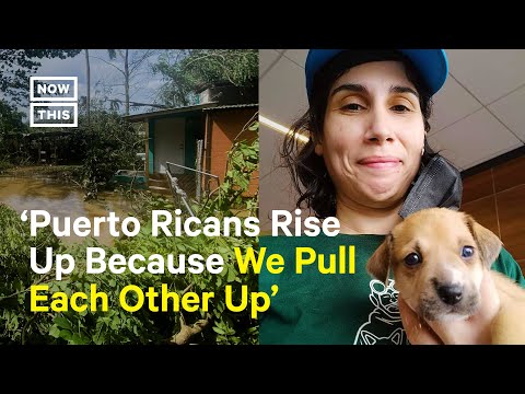 Video: „Shelter Manager“sustoja, kad apsaugotų gyvūnus audrų metu