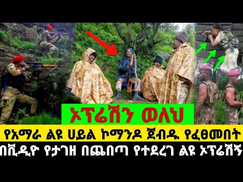 ቪዲዮ: ሊባል የሚችል መርማሪ ታሪክ - በሊዮናርዶ ዳ ቪንቺ ሥዕሉ እንዴት እንደተገኘ