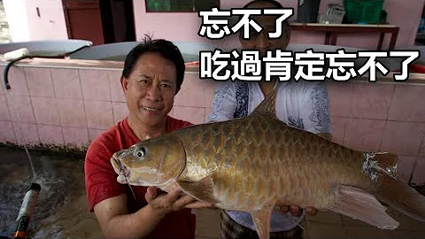 Top 6 most expensive fish in Malaysia - 天天要聞