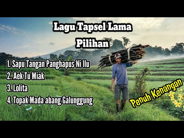 Lagu Tapsel Lama Pilihan Penuh Kenangan | Lagu Mandailing | Lagu Tapsel Madina class=