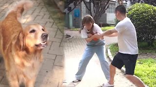 Dog Takes Care Of Blind Man's Daily Life, But Her Dog Is Back