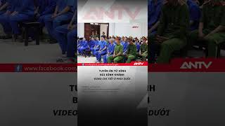 Tuyên án tử hình Bùi Đình Khánh và 3 đồng phạm #antv #shorts #buidinhkhanh
