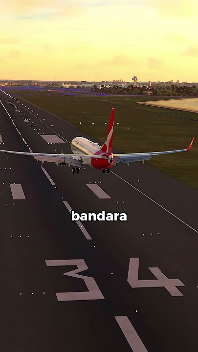 Lakukan ini jika pilot pesawat mu pingsan #aviation #faktaunik #fakta