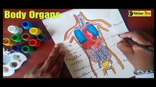 Body organs poster paintings for students-Human Anatomy think os