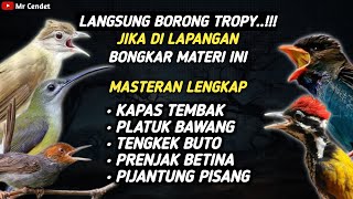 MASTERAN TEMBAKAN KAPAS TEMBAK, PLATUK BAWANG, TENGKEK BUTO, PRENJAK BETINA, DAN PIJANTUNG PISANG !!