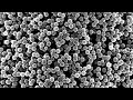 Analisis Scanning Electron Microscope (SEM)