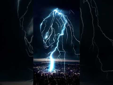 The Predator: Lightning Bolt