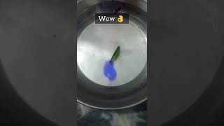 leaf boat 🛶 Easy| Experiments to do at School #viral #youtubeshorts @Science007 @AsapSCIENCE