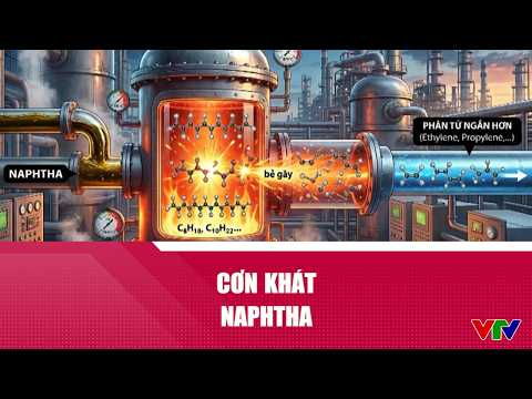 Cơn khát Naphtha | VTV24