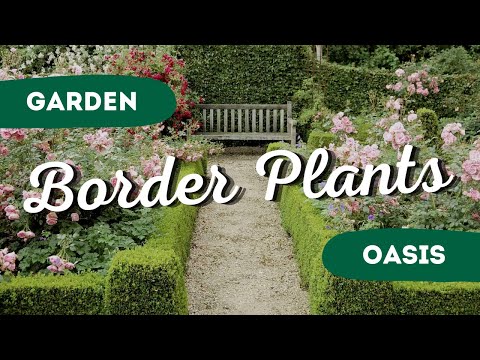 Video: Perene în vecinătate – Creșterea unei grădini perene pentru vecini