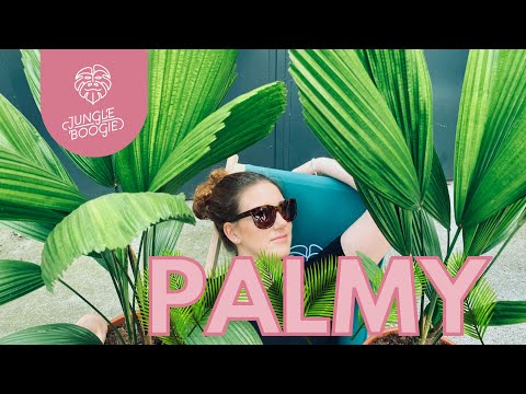Wideo: Pielęgnacja palmy ara - dowiedz się więcej o uprawie palmy ara