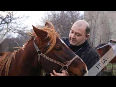 ვიდეო: ტოპ 4 მიზეზი კატები ზამთრის საუკეთესო მეგობრები არიან