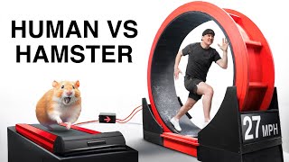 Beat The Hamster, Win $10,000 by JustDustin 398,441 views 8 months ago 15 minutes
