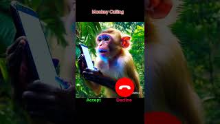 Download Lagu #ringtone #shorts #reels #monkey #iphone #smartphone MP3
