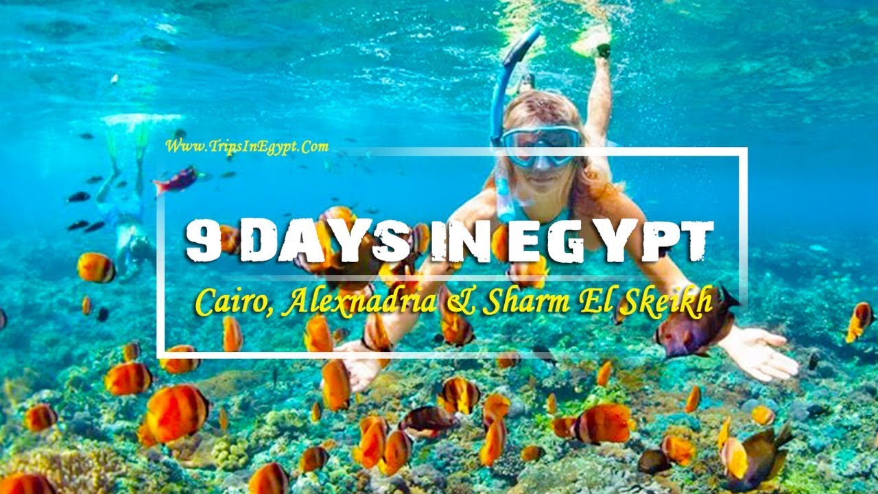 Embark on A Majestic 9 Days Cairo, Alexandria and Sharm El Sheikh Tours