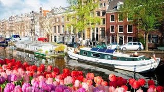 What's the difference between Holland and Netherlands?#prism#subscribe#youtube#viral#ytshort#videos