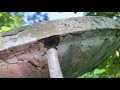 How to Build an Unbelievable Self-Filling Solar Powered Birdbath