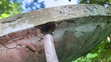 How to Build an Unbelievable Self-Filling Solar Powered Birdbath