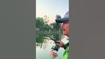 Câu cá lóc bông tại hồ Đồng Mô Hà Nội #Shorts