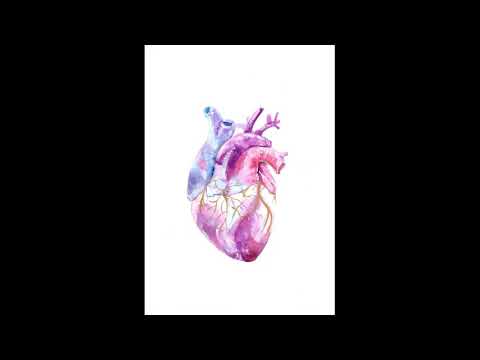 Total Cardiovascular Restoration: The Power of the Heart Health  | Morphic Field