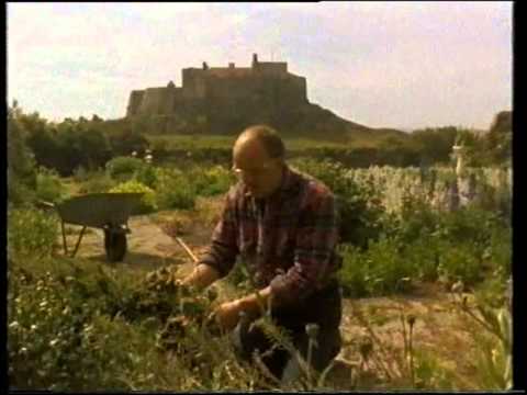 A Year On Holy Island 1995