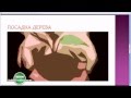 Смотреть Ecn Счет И Список Ecn Брокеров На Форекс, А Также ...