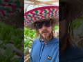 We must fail to succeed. #hydroponics #shorts #truth