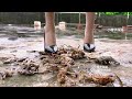 52期Red Soled High Heels Crush Crab Shells 52期Red Soled High Heels Crush Crab Shells